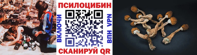 Галлюциногенные грибы Psilocybe  Яранск 